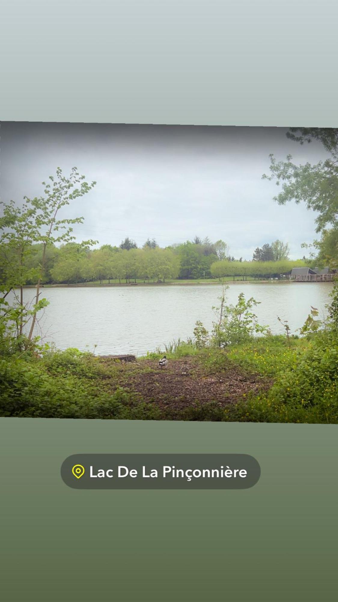 Quiniere - Entre Lac Et Foret - Hebergement Independant Avec Espace Kitchenette Blois Luaran gambar